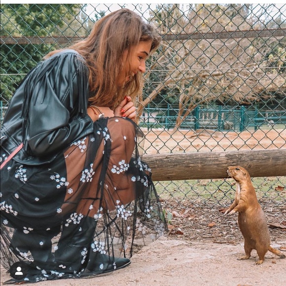 Last🔥Zara floral tulle dress bloggers favorite - Picture 5 of 10